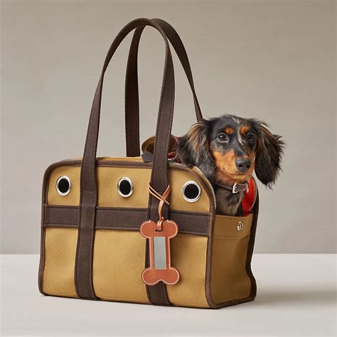 hermes pet bag|Hermes knitted dog collars.